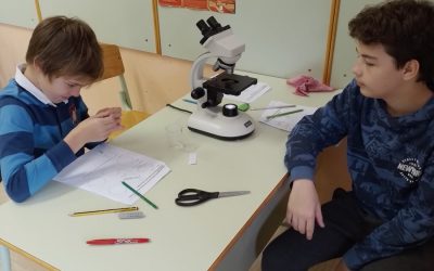 Naravoslovni dan – mikroskopiranje 7. razred