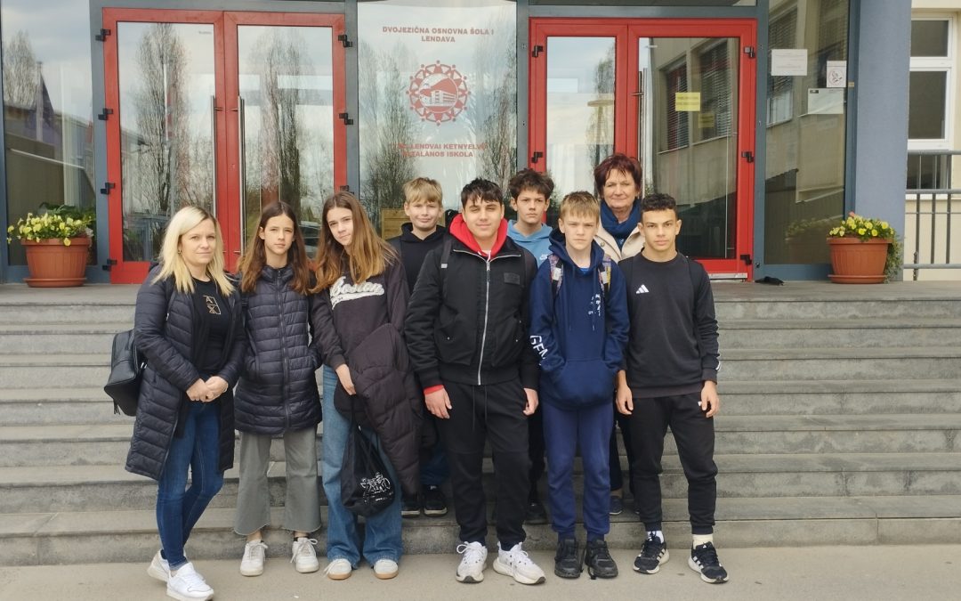 Regijsko tekmovanje iz matematike za Vegovo priznanje